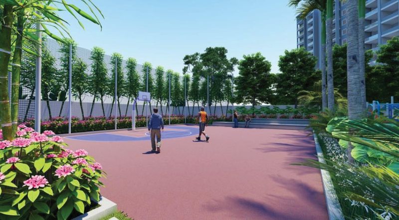 Basketball Court