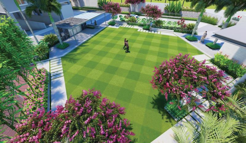 Lawn Area